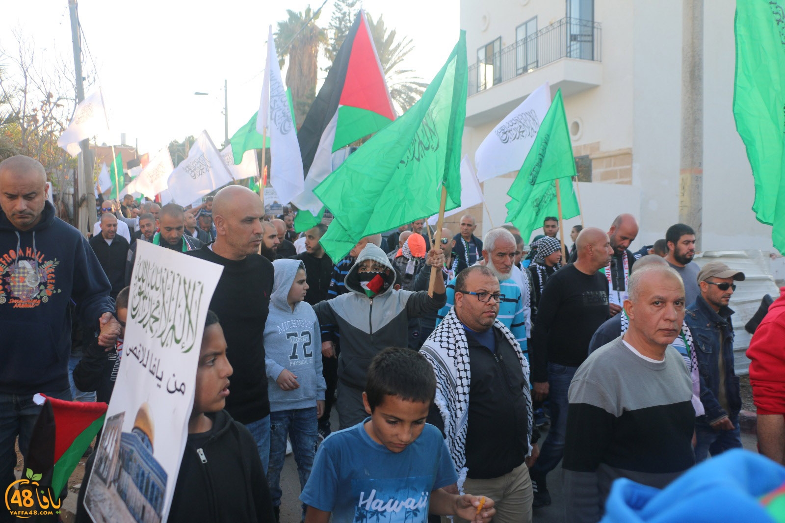 yaffa modahara jeq (28).jpg